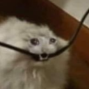 types-with-cock avatar