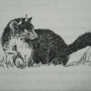 typewrittenfangs avatar