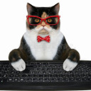 typingtipsandtails avatar