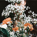 tyrannasaurus-rex avatar