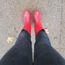 tyrhinosaurus avatar