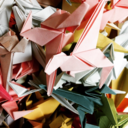 tyto-meticulosa avatar