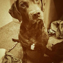 u-and-whos-army avatar