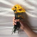 u-r-more-blog avatar