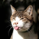 u-umasterofu-u avatar