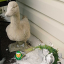 ubertumbleweed avatar