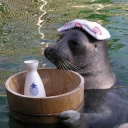 ubiquitouslad avatar