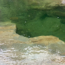 ubiquitoussoftdrink-blog avatar