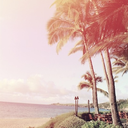 ucanbewhatuwant-blog-blog avatar