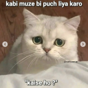 uchiyaandeewaran avatar