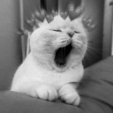 ucieczka-do-raju avatar