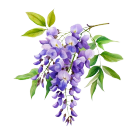 ueberdemnebelmeer avatar