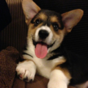 ugh-thesebitches avatar