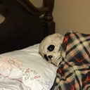 ugly-cat-sweater avatar