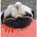 ugly-people-ugly-world avatar