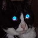 ugly0000-blog1 avatar