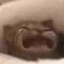 uglylizard1234 avatar