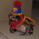 uhstimsiguess avatar