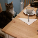 uhuhanniebananie avatar