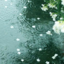 uiscefhuaraithe avatar