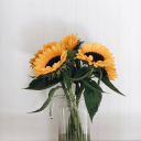 uitstelgedrag avatar