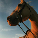 ulises0102bruno avatar