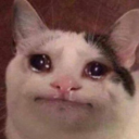 ulisseodyssey avatar