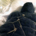 ullfetish-blog avatar