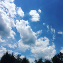 ultimate-marvel-hoe avatar