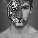 ultra--vio-lence avatar