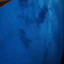 ultra-siyahlkadn avatar