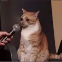 ultra-youngsimmer avatar