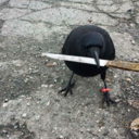 ultrafandomly avatar