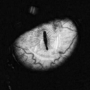 ultrafuckinviolence-blog avatar