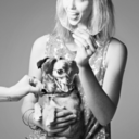 ultranin-blog-blog avatar