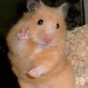 ultraqueensofia avatar