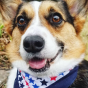 ultraviolente-art avatar