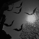 ultraviolet-darling0318 avatar