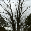 ultrawrittenwordz avatar