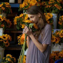 um-girassol-da-cor-de-seu-c-blog avatar