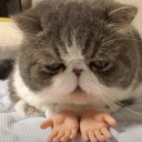 um-ithinksomebodyjust avatar