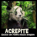 uma-otome-rockeira avatar