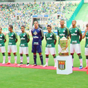 uma-paixao-chamada-palmeiras avatar