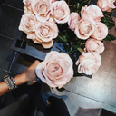 umdiavourirdetudoisso avatar