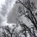 umfazi-wephepha avatar