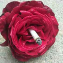 umgozopromeuutero avatar