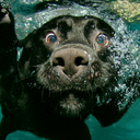 umit101010-blog avatar