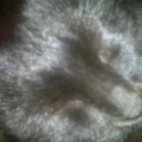 ummagumma1981 avatar