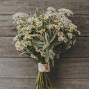 ummandabizerre avatar