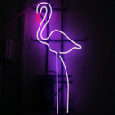 umrumdadegilsinn avatar